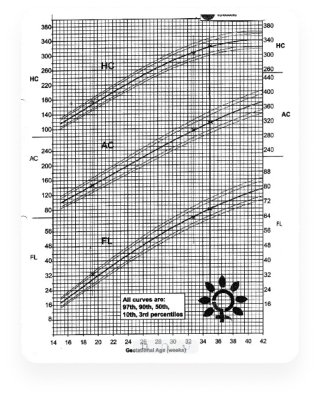 Document access in the specialist portal